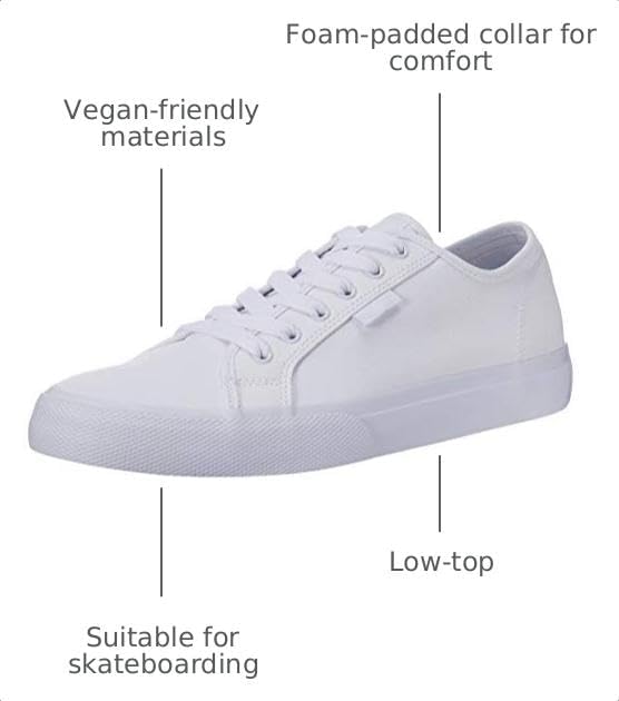 DC Men's Anvil Action Sports Shoe White