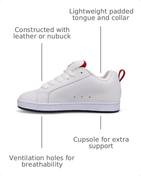 DC Shoes Men's Court Graffik