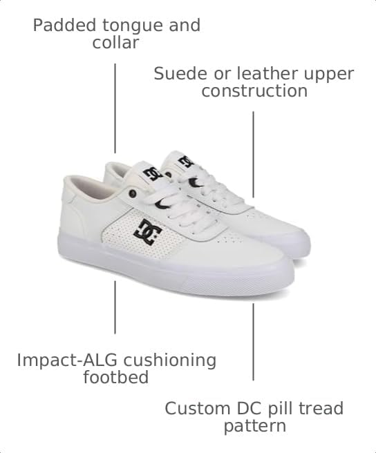 DC Shoes Mens Teknic White/Black